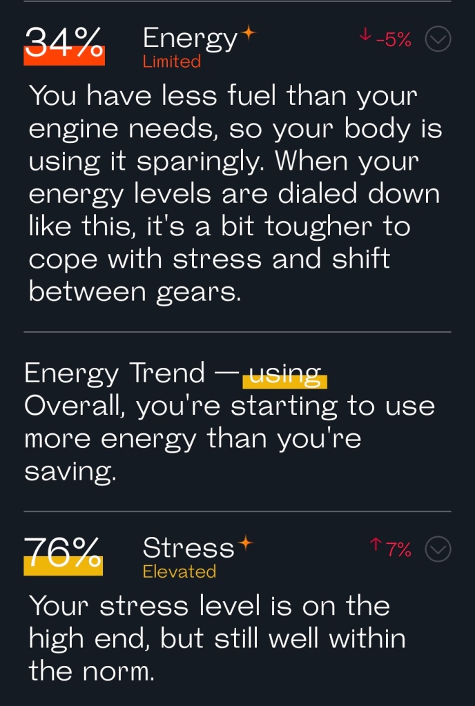 An explanation of how my energy level is doing. For example, I'm using more energy than what's taking in.